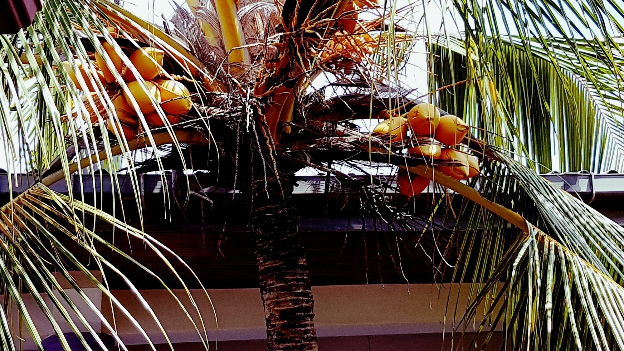 Happy Night Holiday Inn Unawatuna Kültér fotó